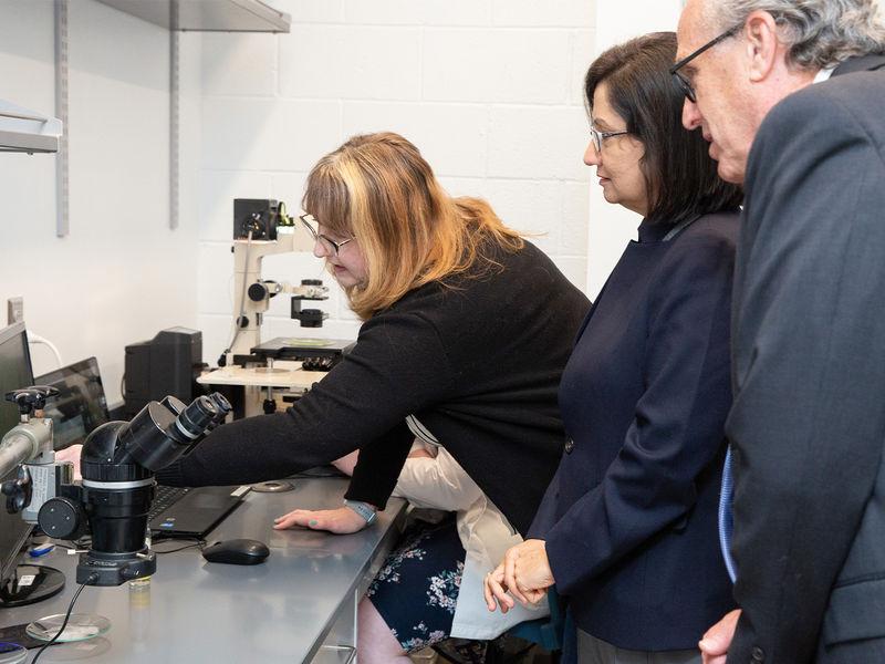 Individuals looking at lab specimens 