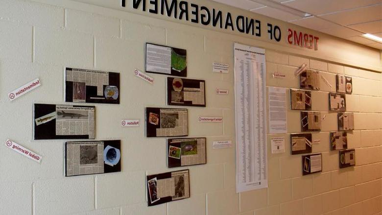 Terms of endangerment wall featuring Pennsylvania’s endangered species articles written by students for community education.