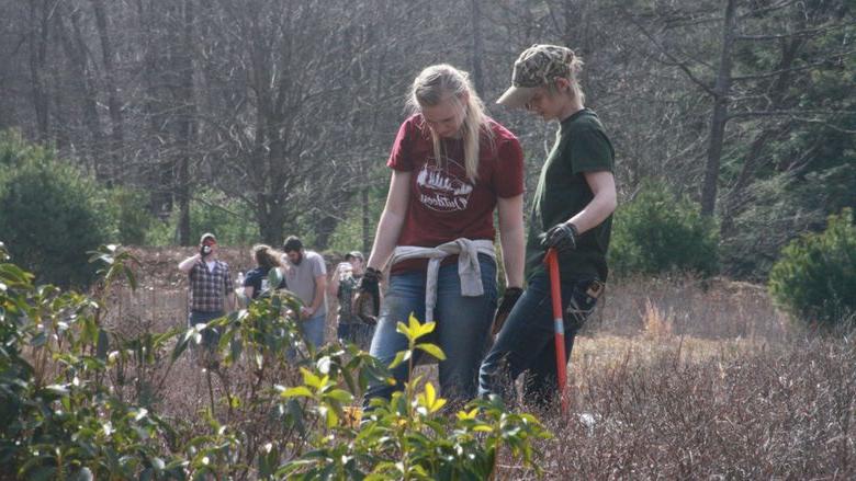 Students plant trees as part of a habitat restoration 