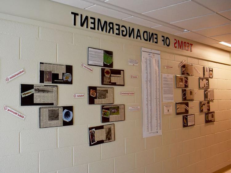 Terms of endangerment wall featuring Pennsylvania’s endangered species articles written by students for community education.